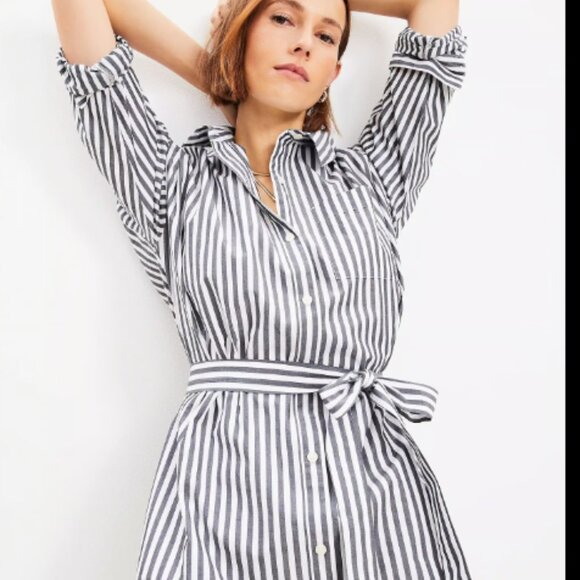 ANN TAYLOR LOFT BELTED PETITE POCKET SHIRTDRESS STRIPED NWOT $100 M P - Picture 2 of 7